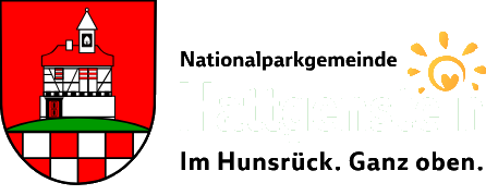 hattgenstein.nxt-solution.de